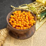 Rakytník rešetliakový (Hippophae rhamnoides) ´SLNIEČKO´ - výška 30-40 cm, P9 - SAMICA 